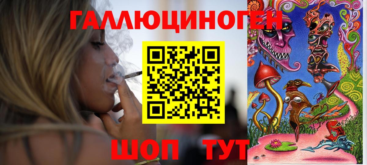 Ржев  Псилоцибиновые грибы MAGIC MUSHROOMS  Вход с VPN 